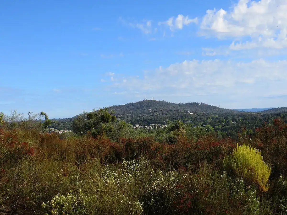Homes on an oak covered hillside in Cameron Park, El Dorado County